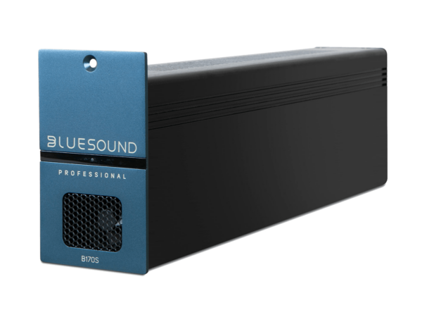 BlueSound Professional B170S Angle
