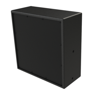 Danley SM100 - full range speaker